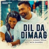 Dil Da Dimaag