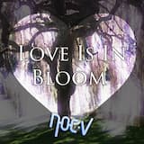 Love Is In Bloom