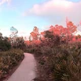 COME ✪⚷ TO ⚷✪ FLORIDA