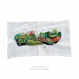 Los niños izan las estrellas con hilos de plata