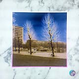 We Apologise For The Inconvenience