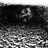 COMPLETE, AND FUNDAMENTAL, TOTAL BETRAYAL.