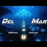 Ozuna X Doja Cat X Sia - Del Mar (Dimen5ions & DJ Alejandro Bachata Remix)