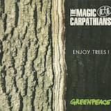 Muzyka Bzu Czarnego / Sambucus Nigra Music (Lagopus Lagopus version)