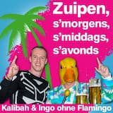 Zuipen, s'morgens, s'middags, s'avonds