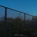 the night is just humming