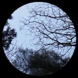 Nikki Nair, Addison Groove - Testify