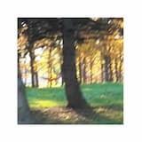 enjoy it while it lasts