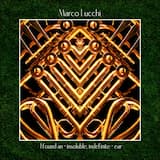 I found an - insoluble, indefinite - ear