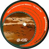 Fly With Me (UBQ's Vinyl Soul mix)