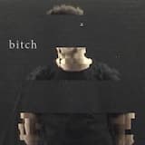 Bitch