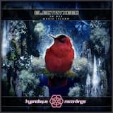 Fragmented Dreams (Electryxeed In Dub Remix)