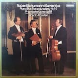 Klaviertrio Nr. 1 D-moll, Op. 63: I. Mit energie und Leidenschaft