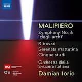 Symphony No. 6 "Degli archi": I. Allegro