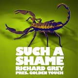 Such A Shame (Radio Edit)