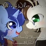 Pursuing Fortune (Acoustic)