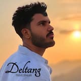 Deltang