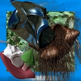 Noisy woman, bad little invitation, fertilizer