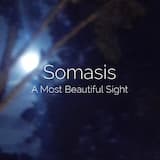 Amalgamated Favorites