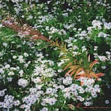 ËËđąÖŽà»`đČđœđ±đź đđźđčđœđ±đŒ đžđŻ đœđ±đź đŻđžđ»đźđŒđœđČ:â§Ë.