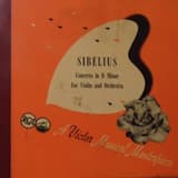 Violin Concerto in D Minor: I. Allegro moderato