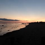 We Come From the Evolution of Life