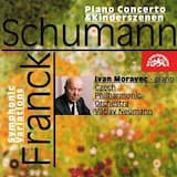 Piano Concerto in A Minor, Op. 54: I. Allegro affettuoso