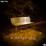 Without You