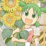 A Thousand Sunflowers