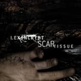 Scar Tissue (Magnadrive remix)