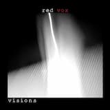 Visions and Afterthoughts