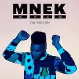 The Rhythm (extended mix)