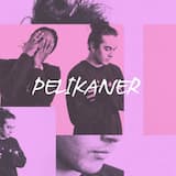Pelikaner