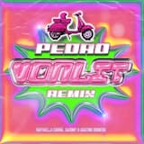 Pedro (Von Lit TECHNO DNB remix)