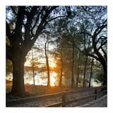 limited_4x4-grid::looping_stop