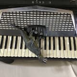 Understanding the Spinosaurus