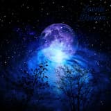 To Travel The Galaxy Is My Dream