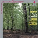 Concerto for Horn and Orchestra no. 1 in D major, K. 386b: I. Allegro