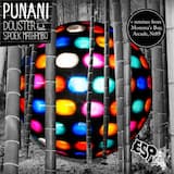 Punani (Nt89 Rmx)