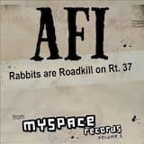 Rabbits Are Roadkill on Rt. 37