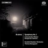 Symphony no. 1 in C minor, op. 68: I. Un poco sostenuto – Allegro