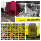 Form, Function and Friction