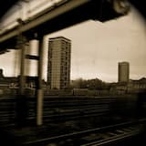 Intro/Drowning Roots