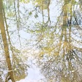 Waiting Room at the Doctor's Office