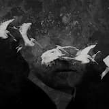 Noctambulism (Swarm Intelligence remix)