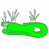 pond