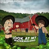 Look at My Watermelons