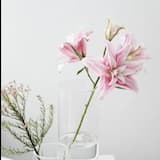 Piano Warm Motivational (Main)