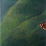 Crystal Arrows for a Cosmic King