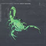 Don't Run From the Fire